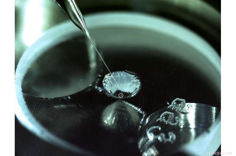 Asteroid Dust Reveals How Life’s Building Blocks Can Form in Space