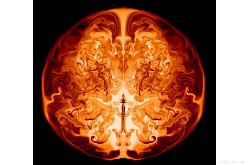 Early-Universe Massive Stars as Likely Seeds of Super‑Massive Black Holes