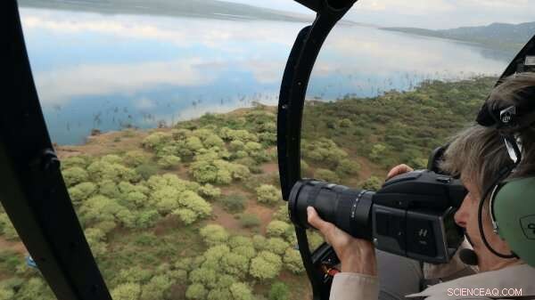ISS Maps Global Bird Migration Routes from Space