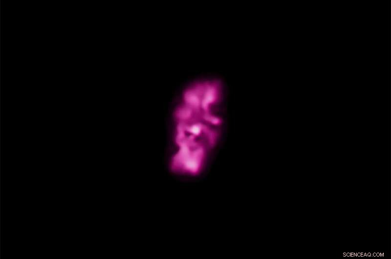 Transforming Chandra X‑ray Data into Sound: Exploring Stars, Galaxies, and Black Holes