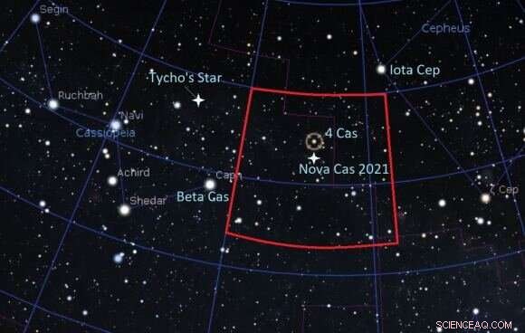 Nova Cas 2021 Brightens in Cassiopeia: A New Celestial Event