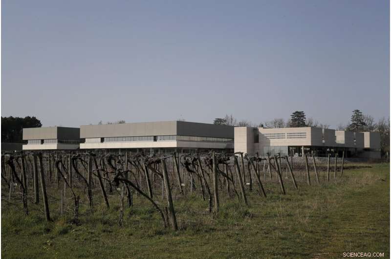 Tasting Space‑Orbiting Wines: Researchers Experience French Bottles Returned from the ISS