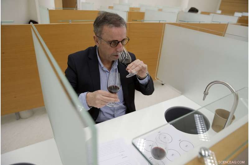 Tasting Space‑Orbiting Wines: Researchers Experience French Bottles Returned from the ISS