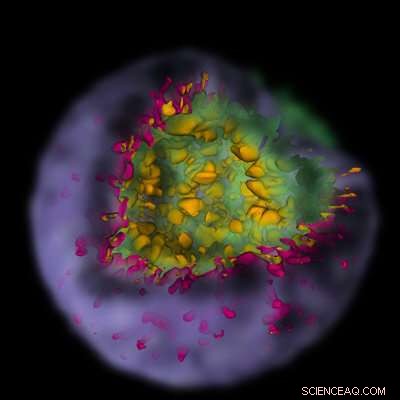 Supernova Simulations Unveil the Formation of Debris Clouds in Stellar Explosions
