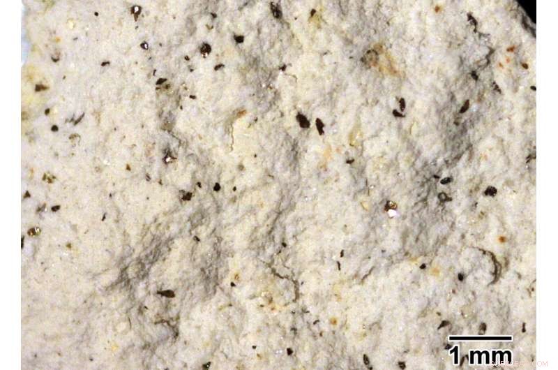 Earth’s Nördlinger Ries Crater Sheds Light on Martian Impact Structures