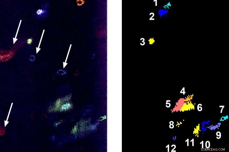Investigating Life Signatures in the Icy Subsurface of Ocean Worlds