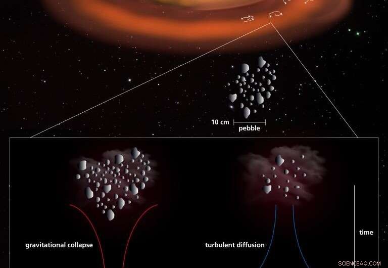Why Primordial Asteroids That Evaded Massive Collisions Tend to Be Uniformly Sized