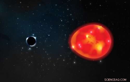 The Closest Smallest Black Hole to Earth:  The Unicorn 