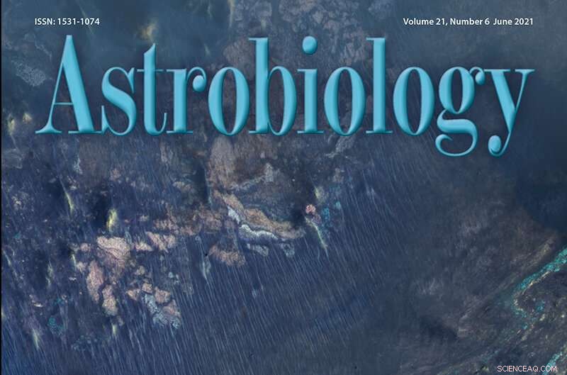 Study Finds Mars Subsurface Holds Conditions for Microbial Life