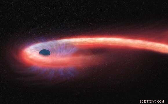 Astronomers Capture First Visual Evidence of a Star s Tidal Disruption by a Black Hole