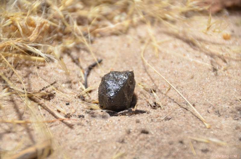 Asteroid Impacted Botswana in 2018: Scientists Trace Its Origin to Vesta