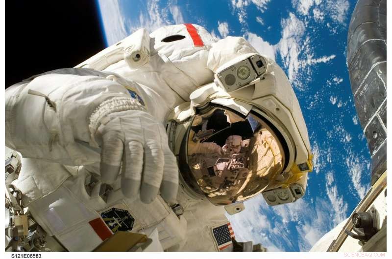 Astronauts  Gut Microbiome Shifts During 520‑Day Confinement Study