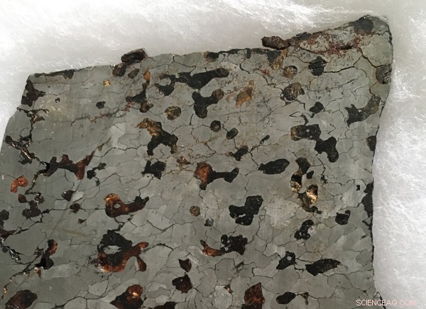 Meteorites Unveil Magnetic History of Protoplanet Formation