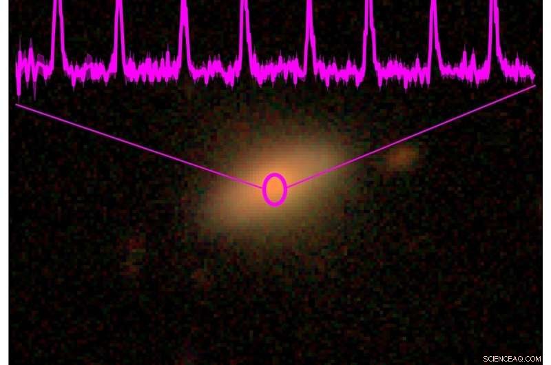 eROSITA Detects Awakening of Massive Black Holes