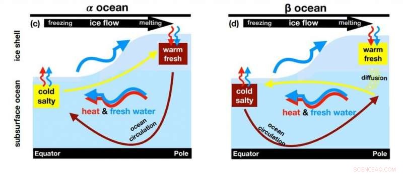 Assessing the Salinity of Enceladus’ Sub-Ice Ocean
