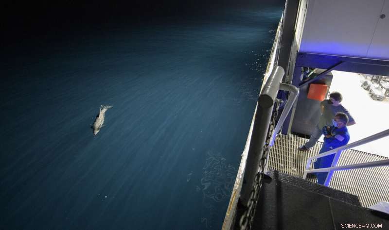 SpaceX Safely Lands 4 ISS Astronauts in Historic Nighttime Splashdown