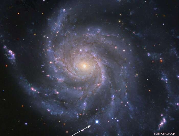 Twin Supernovae Unlock Precise Cosmological Measurements