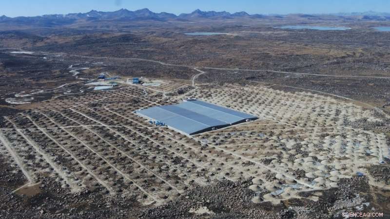 LHAASO Uncovers Dozen PeVatrons and 1 PeV Photons, Heralding a New Era in Ultra‑High‑Energy Gamma‑Ray Astronomy