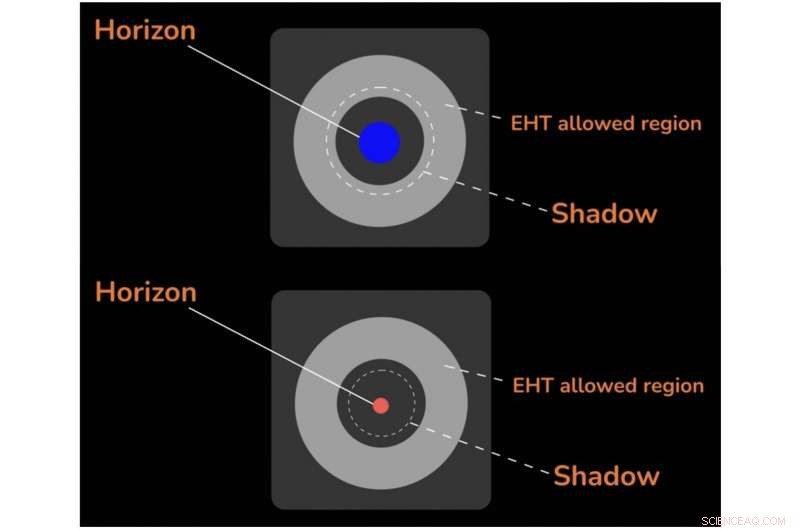 Only Certain Models Match the M87* Black Hole Observations