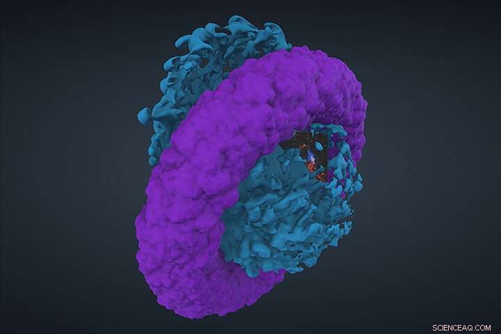 Explore IC 443 in 3D: Chandra’s New VR Platform Brings Supernova Remnant to Life