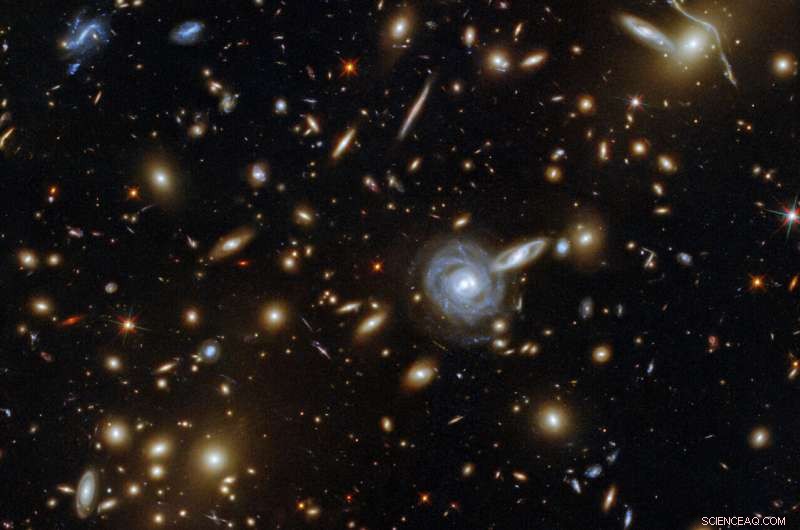 Hubble Captures Stunning Galactic Menagerie: Diverse Galaxies in ACO S 295 Cluster