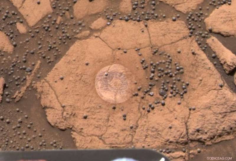 Mushrooms on Mars? A Closer Look at Five Unverified Alien Life Claims