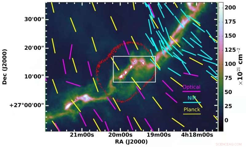 New Study Uncovers Varied Magnetic Fields in Solar‑Type Star‑Forming Cores