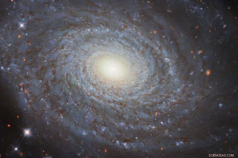 Hubble Captures Spiral Galaxy NGC 691 in Stunning Detail