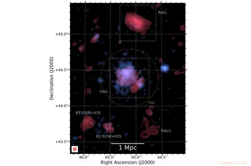New Radio Halo Detected in Low‑Mass Ant Cluster (PSZ2G145.92-12.53)