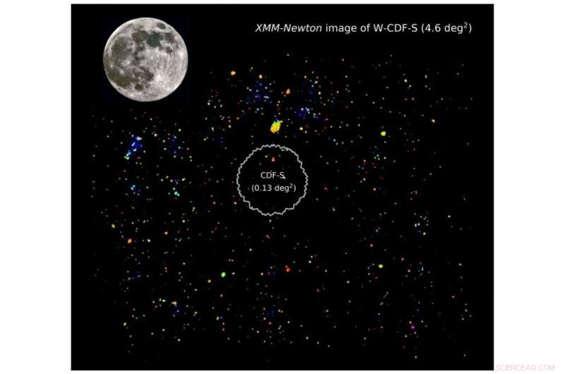 XMM-Newton Map Unveils Rapid Growth of Supermassive Black Holes in Next-Gen Survey Fields