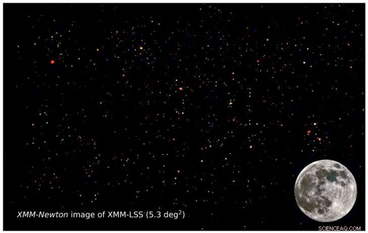 XMM-Newton Map Unveils Rapid Growth of Supermassive Black Holes in Next-Gen Survey Fields