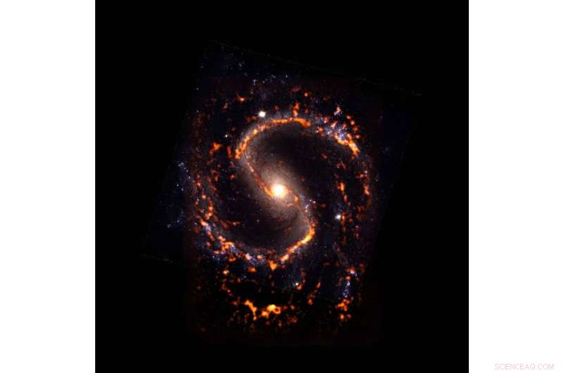 ALMA Survey Charts Local Galaxies, Unveiling Diversity in Star‑Forming Regions