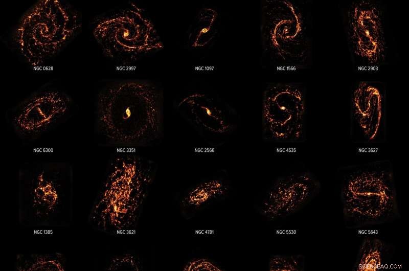 ALMA Survey Charts Local Galaxies, Unveiling Diversity in Star‑Forming Regions