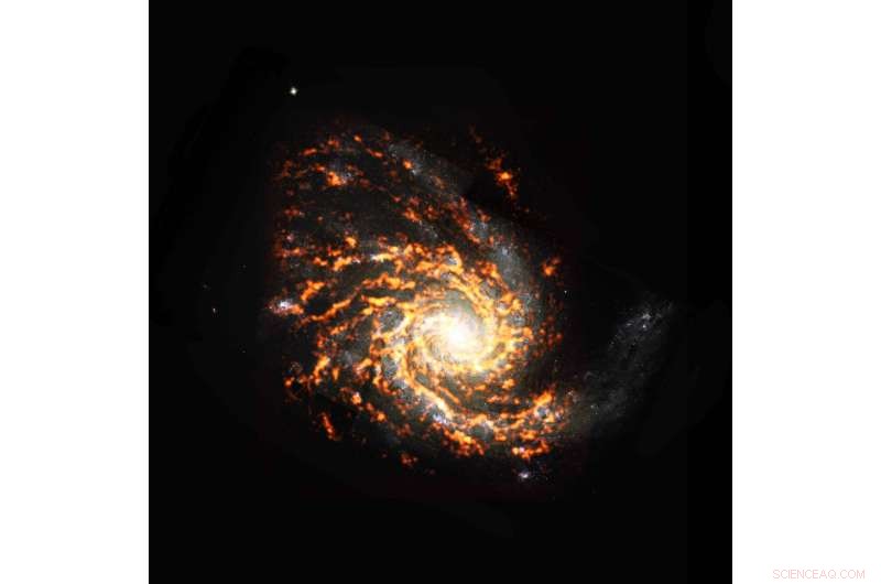 ALMA Survey Charts Local Galaxies, Unveiling Diversity in Star‑Forming Regions