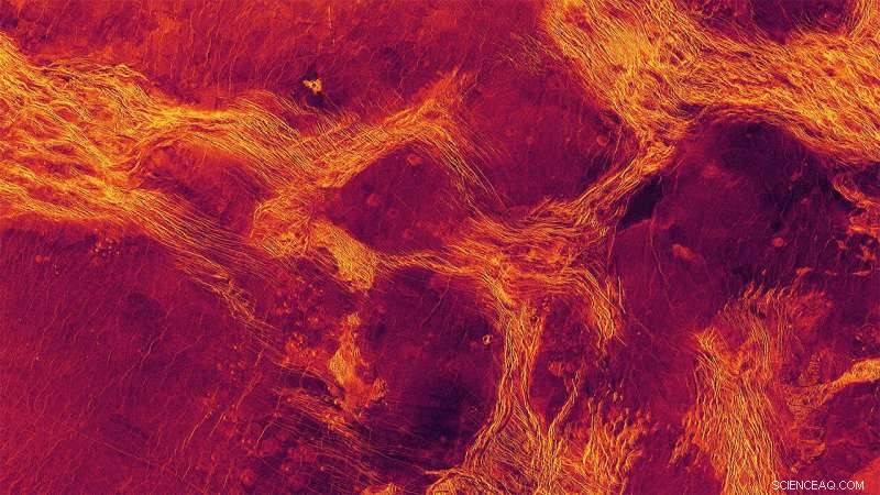 Tectonic Activity Unveiled: New Insights into Venus s Geological Secrets