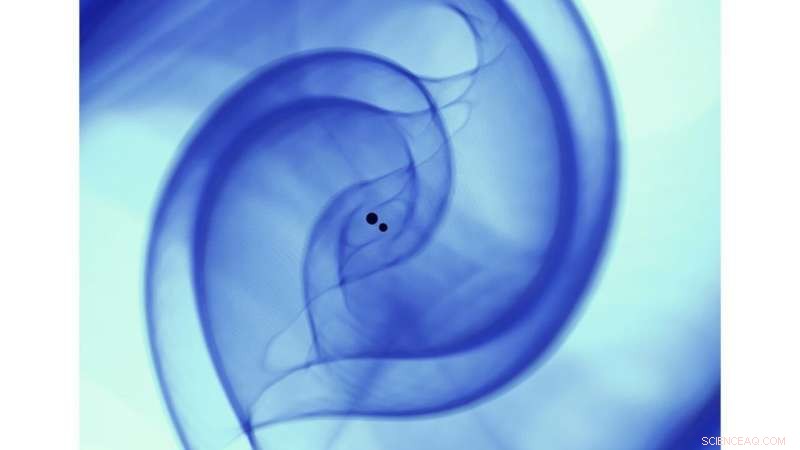 AI-Powered Detection of Gravitational Waves from Black Hole Mergers