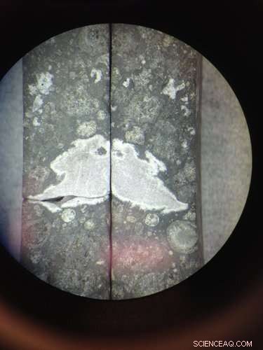 New Cosmic Dust Type in Meteorite Could Explain Earth s Water Origins