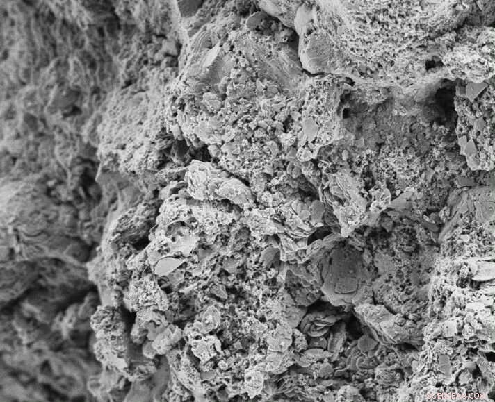 Ancient Meteorite May Unlock Secrets of Life s Origin on Earth