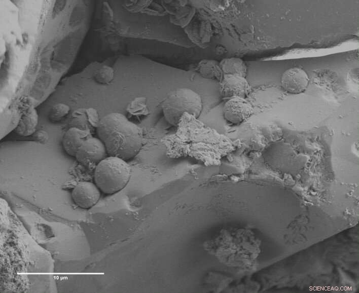 Ancient Meteorite May Unlock Secrets of Life s Origin on Earth