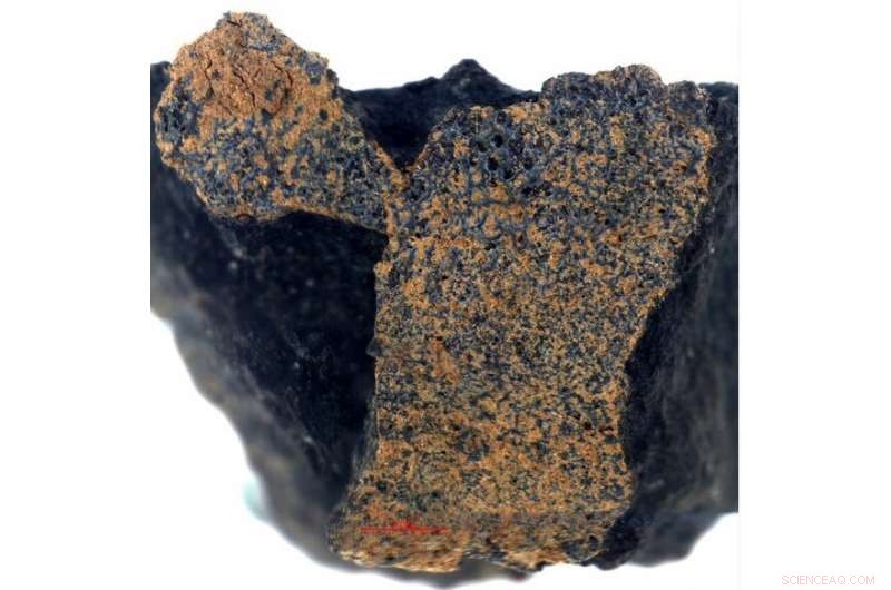 Ancient Meteorite May Unlock Secrets of Life s Origin on Earth