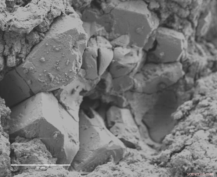 Ancient Meteorite May Unlock Secrets of Life s Origin on Earth