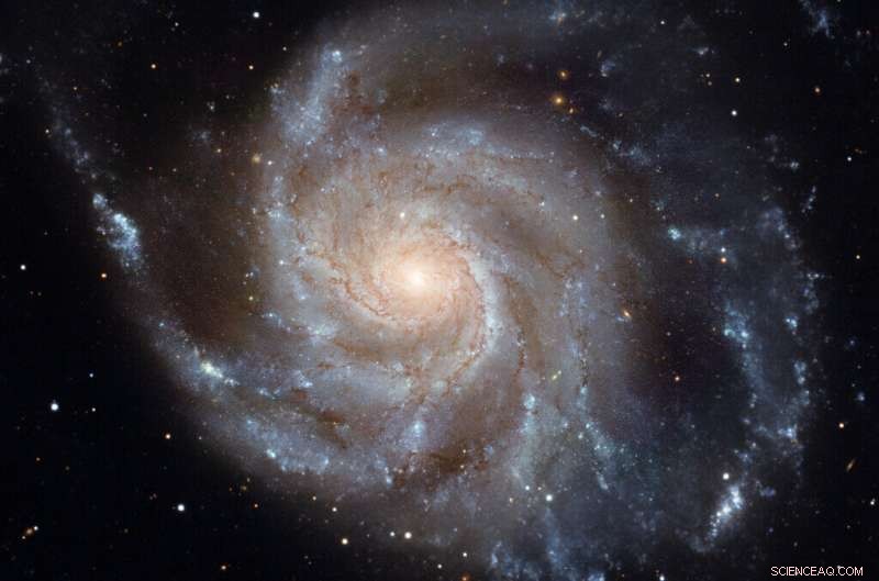 Supermassive Black Holes Suppress Star Formation: The Cosmic Brake on Stellar Birth