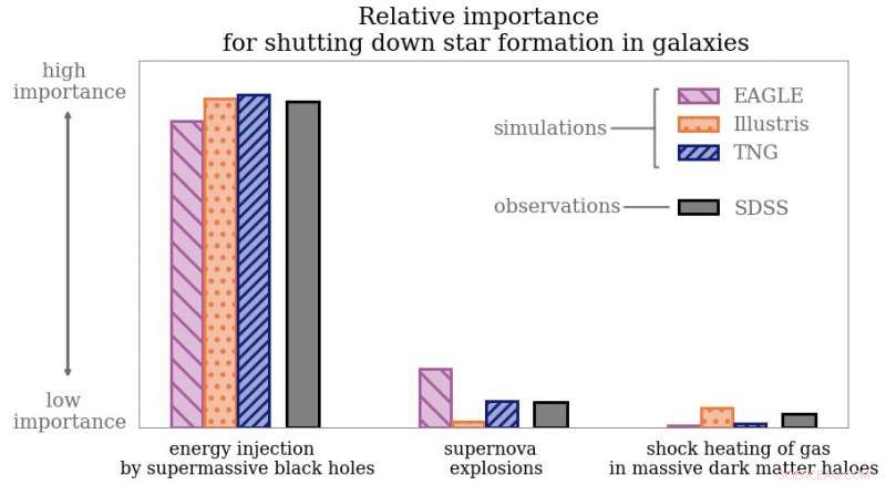 Supermassive Black Holes Suppress Star Formation: The Cosmic Brake on Stellar Birth