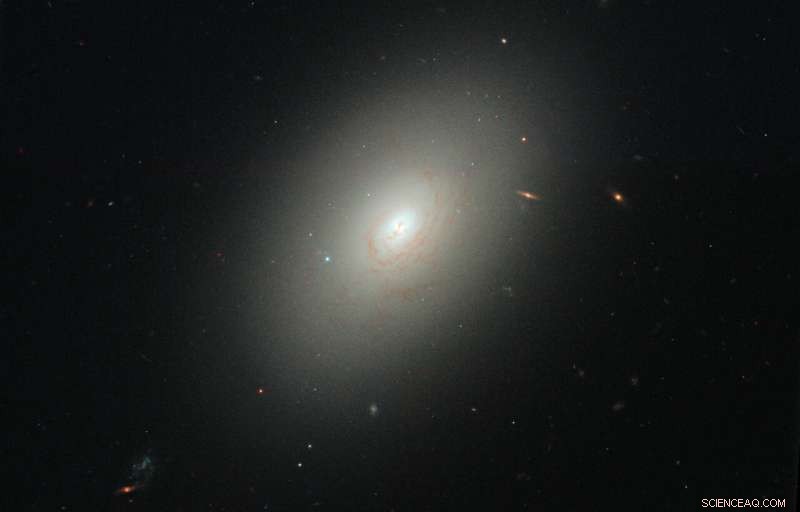 Supermassive Black Holes Suppress Star Formation: The Cosmic Brake on Stellar Birth