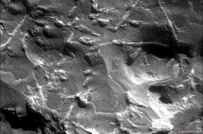 Inside the Team Hunting Meteorites on Mars