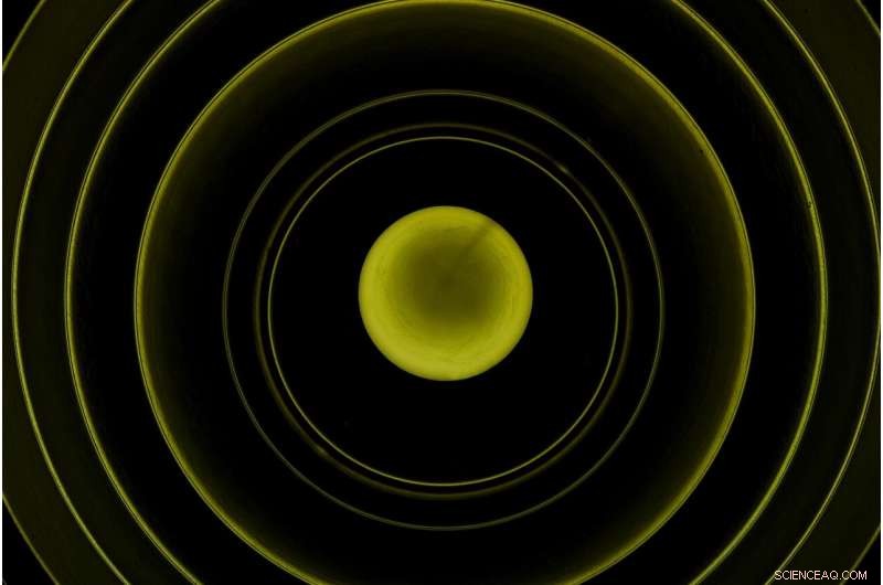 Small-Scale Magnetic Canopies Create a Global Splicing Layer in the Solar Photosphere