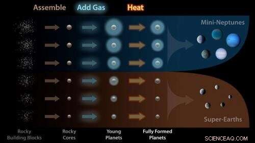 How Nature or Nurture Shapes the Milky Way’s Common Exoplanets
