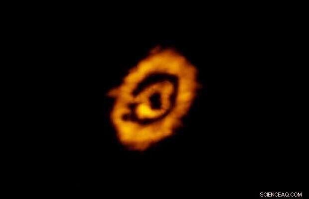 Unveiling Dust and Gas Structures in Protoplanetary Disks