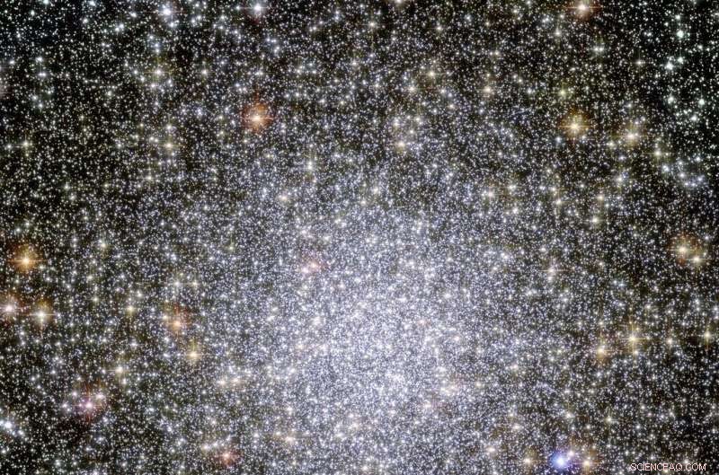 New Study Illuminates the Brightest Star in Globular Cluster 47 Tucanae