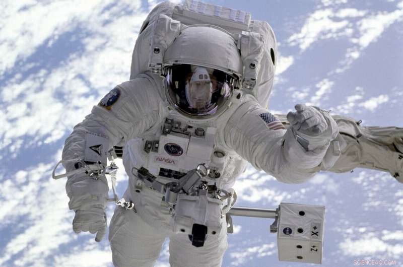 Predicting Individual Cardiovascular Responses to Altered Gravity Through Advanced Analysis